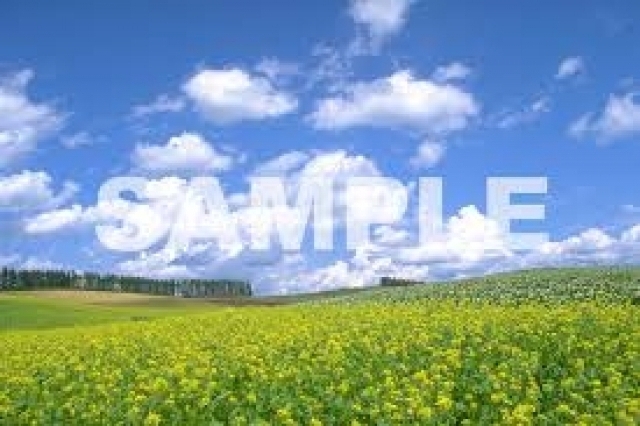 paypay駐車場の時間貸し駐車場