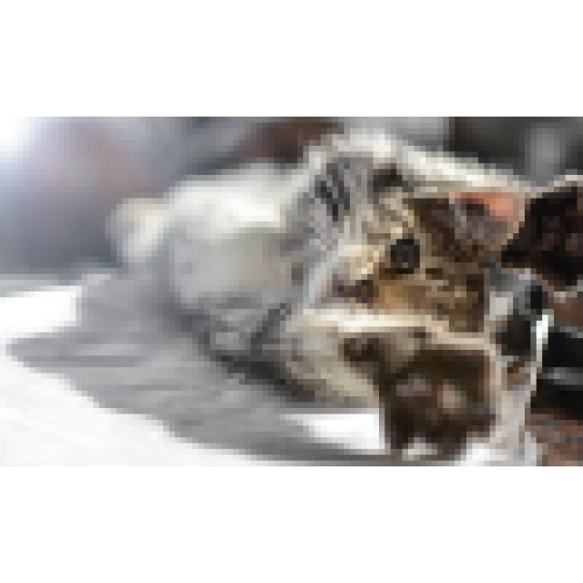 施設インポートテスト1の時間貸し駐車場2