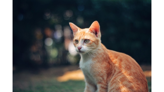 施設インポートテスト1の時間貸し駐車場3